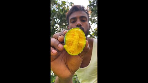 eating ripe mango 🥭🥭🥭