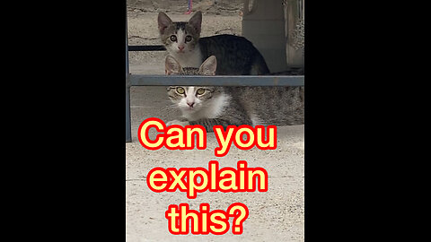 No one knows why