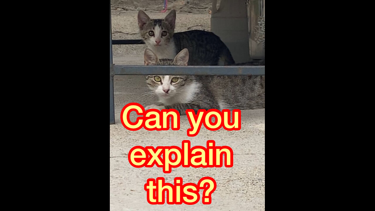 No one knows why