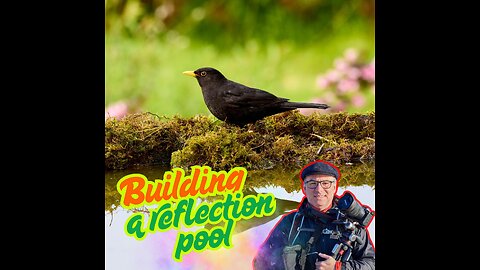 Reflection Pool Build & Bird Photography
