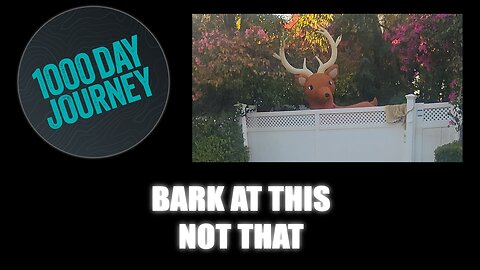 1000 Day Journey 0867 Bark at This not THAT