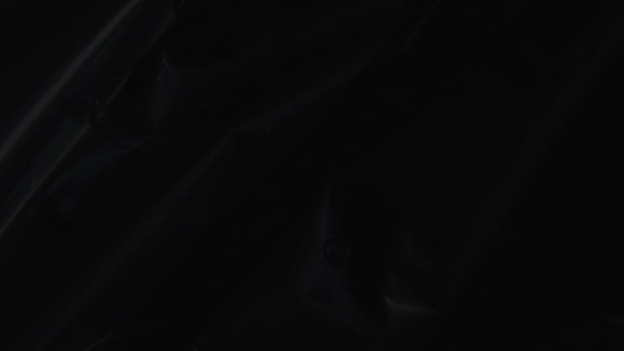 Romans 5:12-21 (Ep89) - Coffee and the Bible