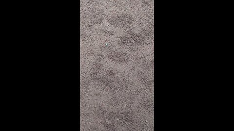 test 116