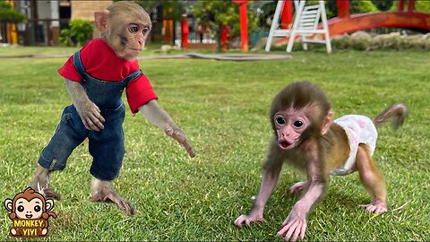 A happy week of YiYi and monkey Yumy