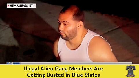 Illegal Alien Gang Members Are Getting Busted in Blue States
