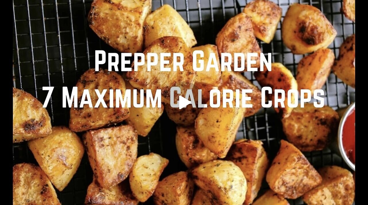 Prepper Garden: 7 Maximum Calorie Crops