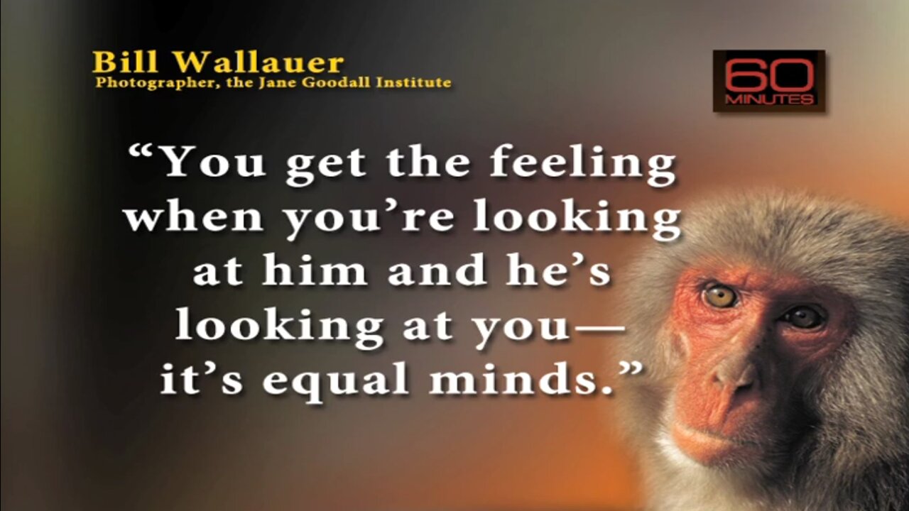 The Human Mind ~ THE KEY OF DAVID with Gerald Flurry