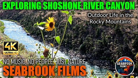 Exploring Shoshone River Canyon: Outdoor Life in the Rocky Mountains