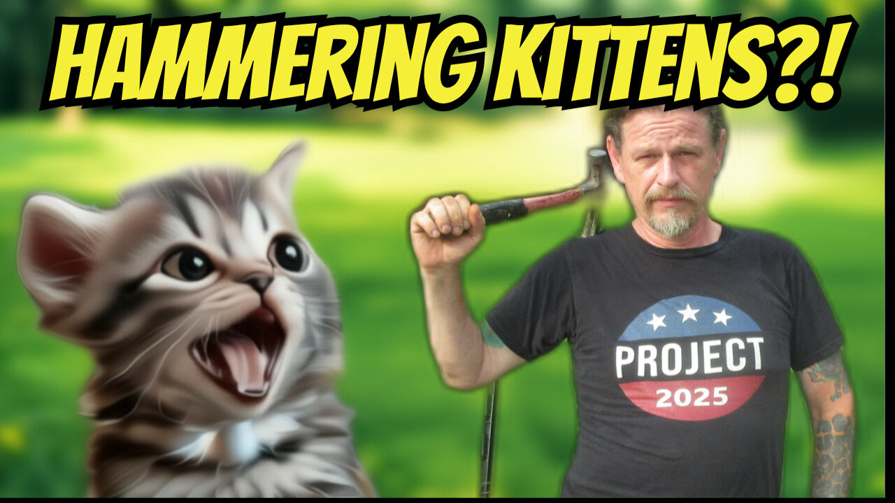 Dealing With Stray Feral Kittens The RIGHT WAY!