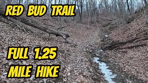 ASMR: Virtual Hike - Red Bud Trail (Thousand Hills State Park)