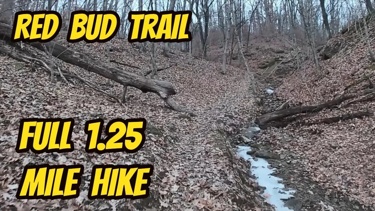 ASMR: Virtual Hike - Red Bud Trail (Thousand Hills State Park)