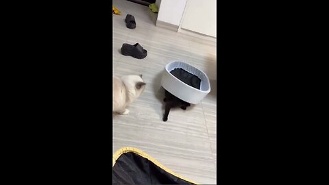 Ambush attack!