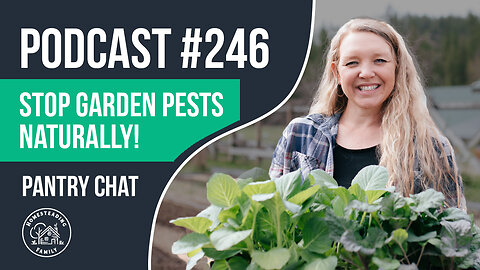Reducing Summer Pest Pressure in the Garden (The Easy Way)