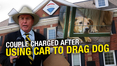 Despicable! Toronto couple charged after using car to drag dog