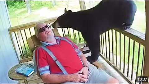 When Animal Gets Up Close Humans in The Funniest Ways 🤩 Funny Animal Videos 2025