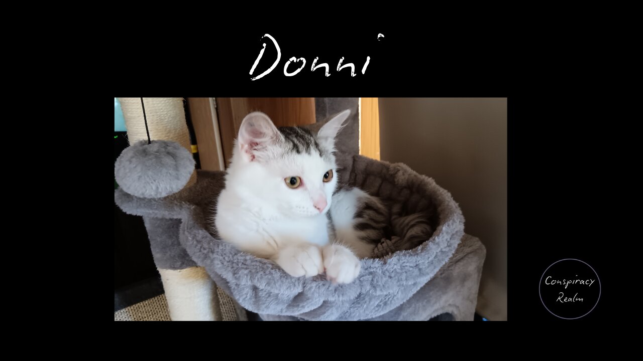 Time Line Cleanse - Meet Donni :)