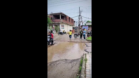 क्या दिमाग पाया है