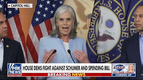 Montage: Democrats Fight Against Chuck Schumer Over Govt Shutdown