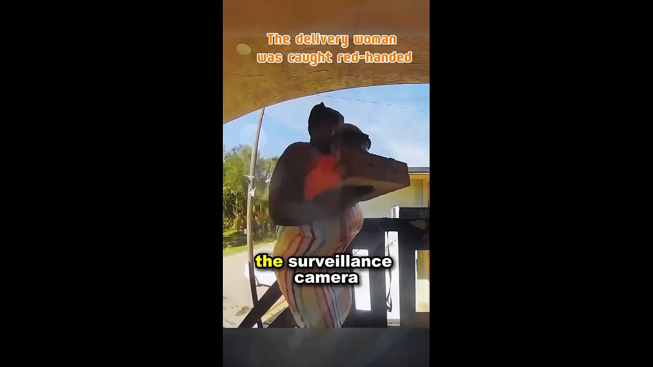 She was caught red-handed moments later. #doorbell #theft #delivery #japd
