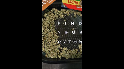 GETTIN HIGHER LEARNIN