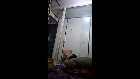 Vlogs