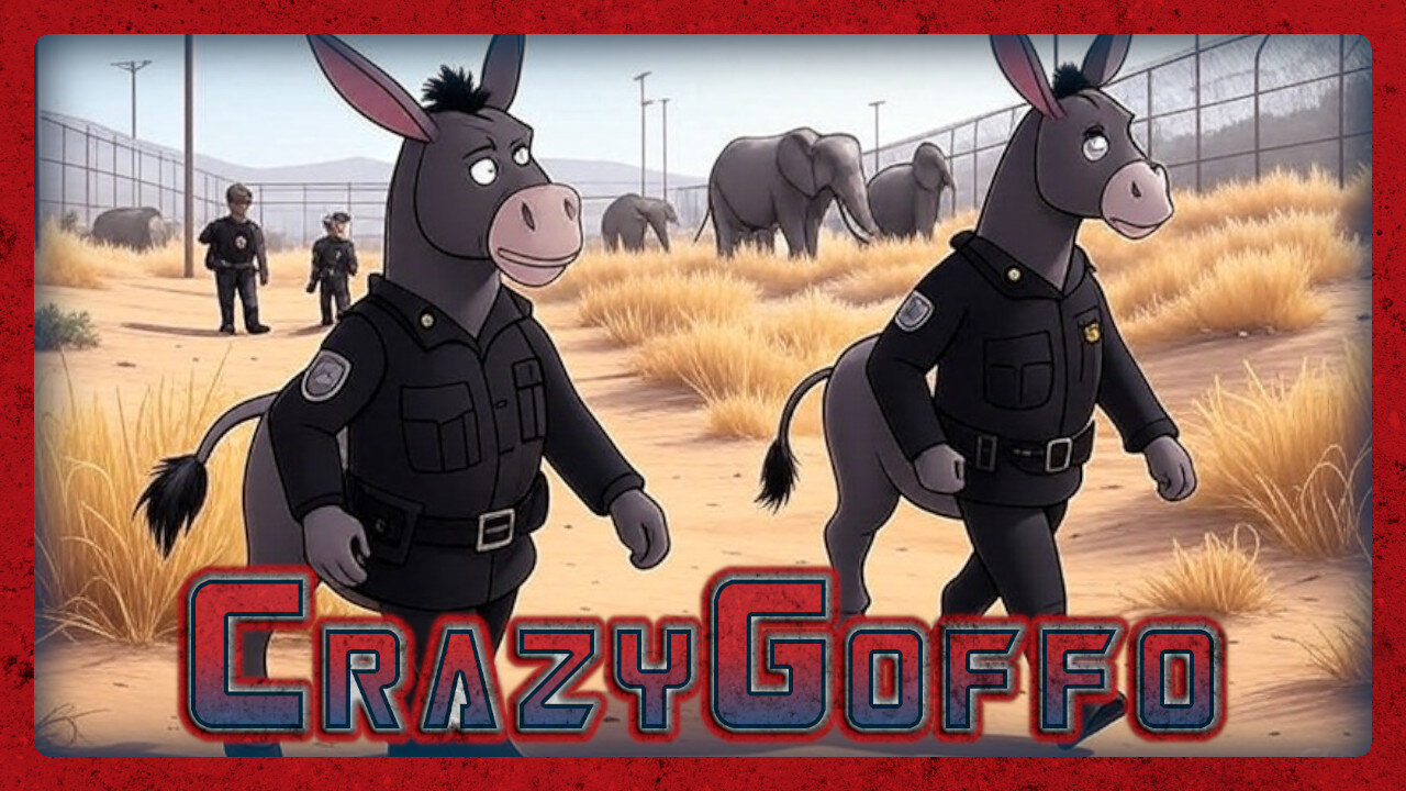 The CrazyGoffo Show