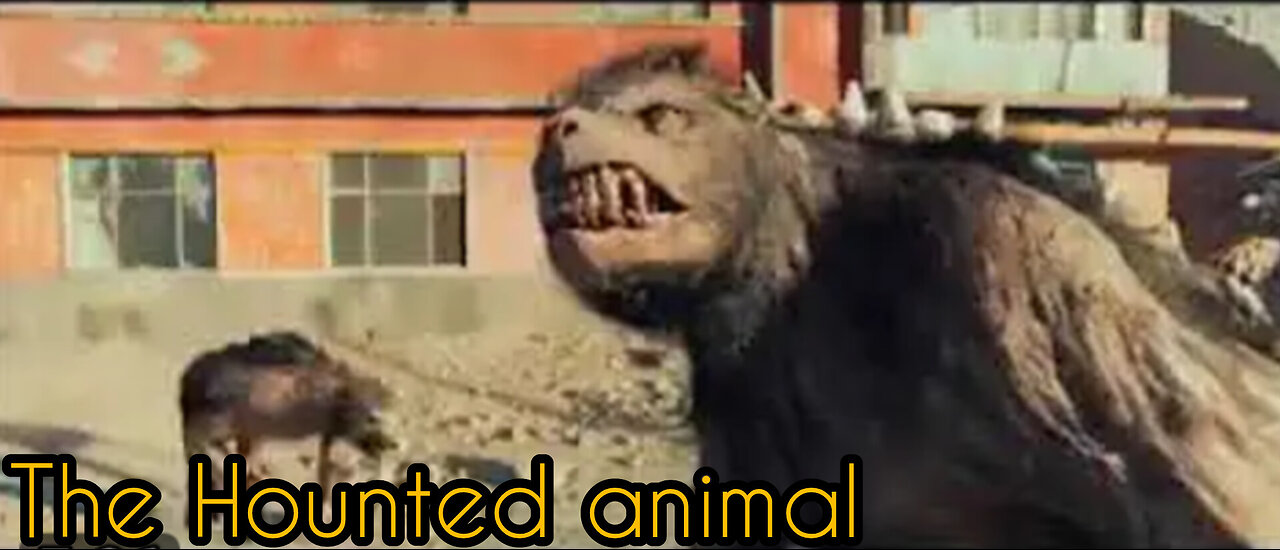 The Hounted animal