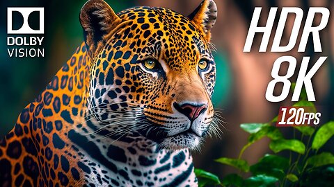 Best of Dolby Vision in 2025 - 8K ULTRA HD HDR 120 FPS