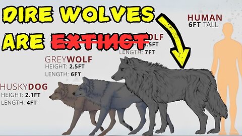The Real Dire Wolf Is Back—And It's Not from Westeros.