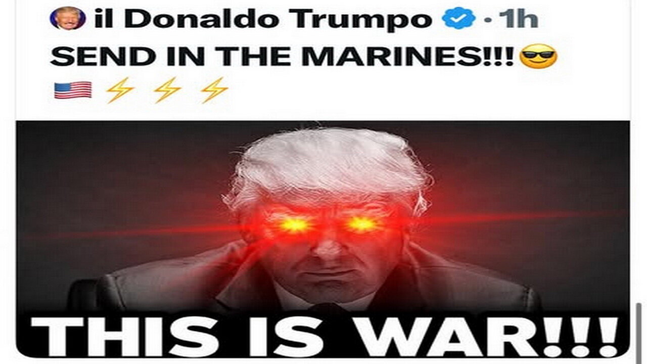 STORM NEWS17 - UNLEASH THE WAR DOGS