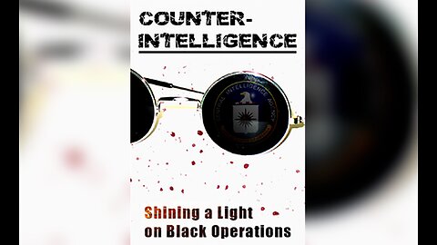 Counter Intelligence Part 1: The Company (2013)