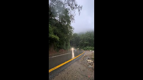 Rain in the Forest