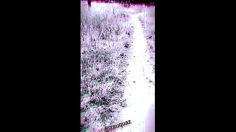Frosty