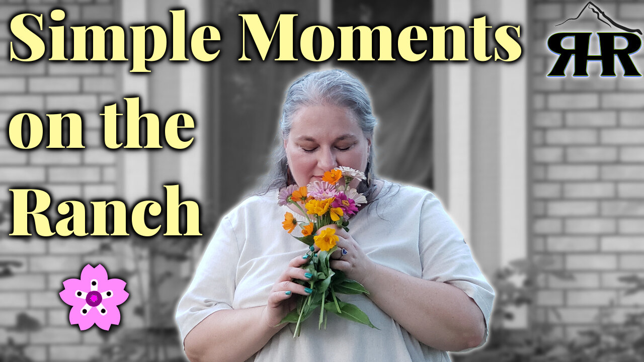 This ONE Thing Destoryed Our Garden Bed! Side by Side Weed Test 🌱