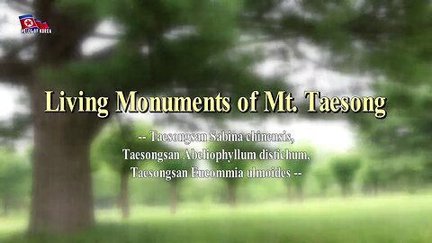 Living Monuments of Mt. Taesong