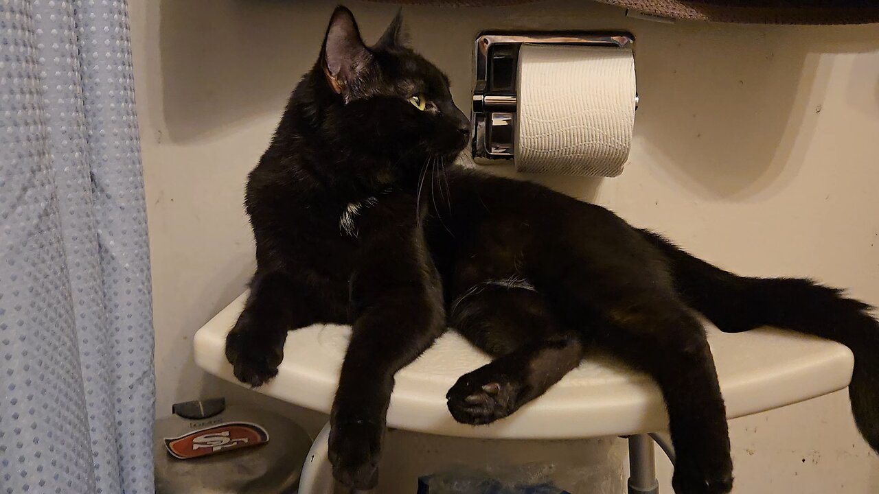 Coco keeps me company. Coco keeps me company. Coco keeps me company. Coco keeps me company