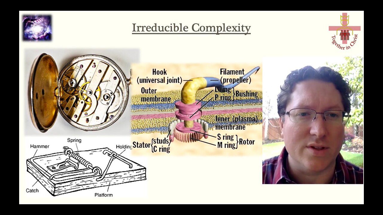Irreducible Complexity – Created All at Once