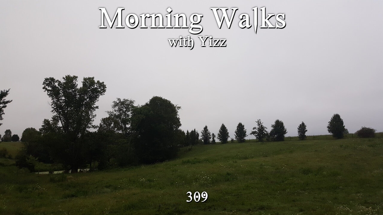 Morning Walks with Yizz 309