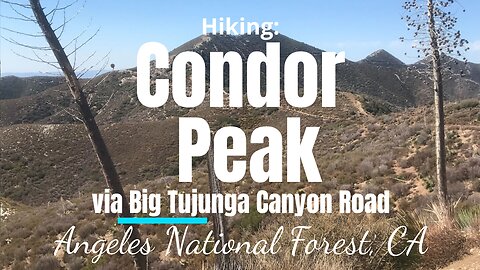 Condor Peak