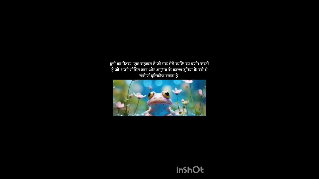 hindi idioms with meaning
