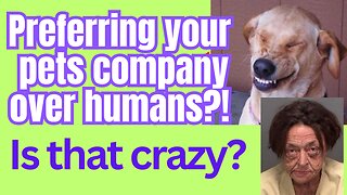 Do we love our pets too much?