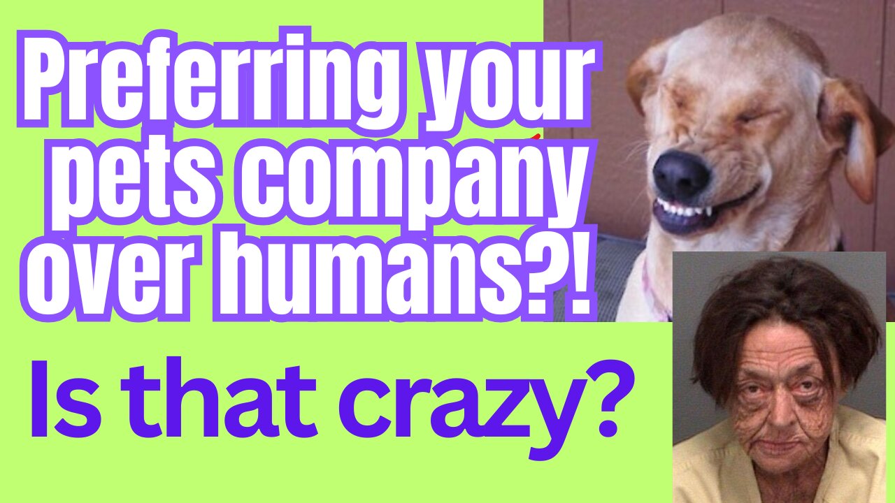 Do we love our pets too much?