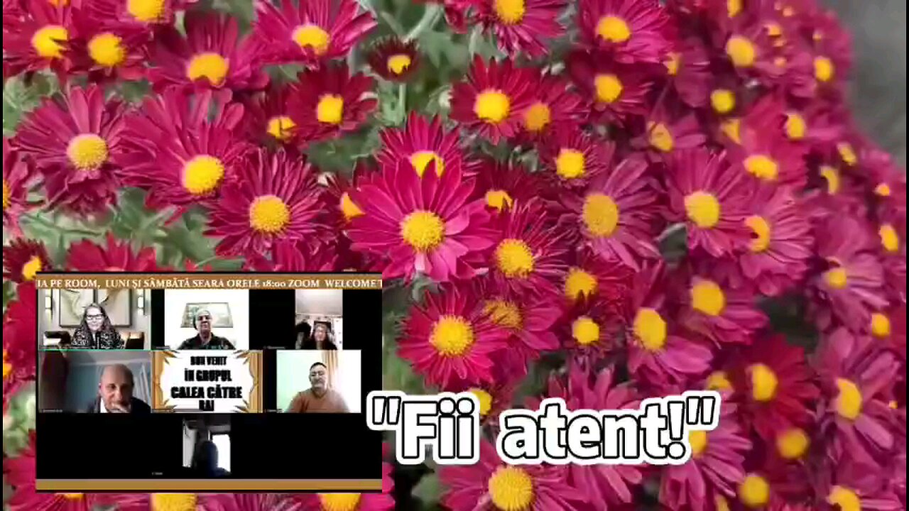Oltea Hozan poezia -FII ATENT!- #editor @ValentinTrifcanalcreștin #poezie #poem #caleacătrerai