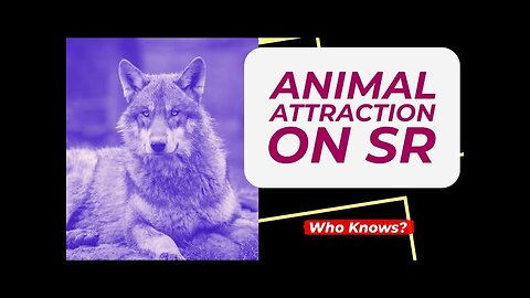 The Wild Side of Semen Retention: Animal Attraction