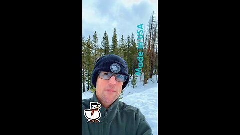 🔥🔥Drivers Stand Tall 🔥🔥