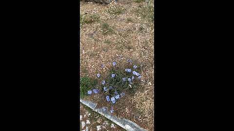 Adapts on its own way