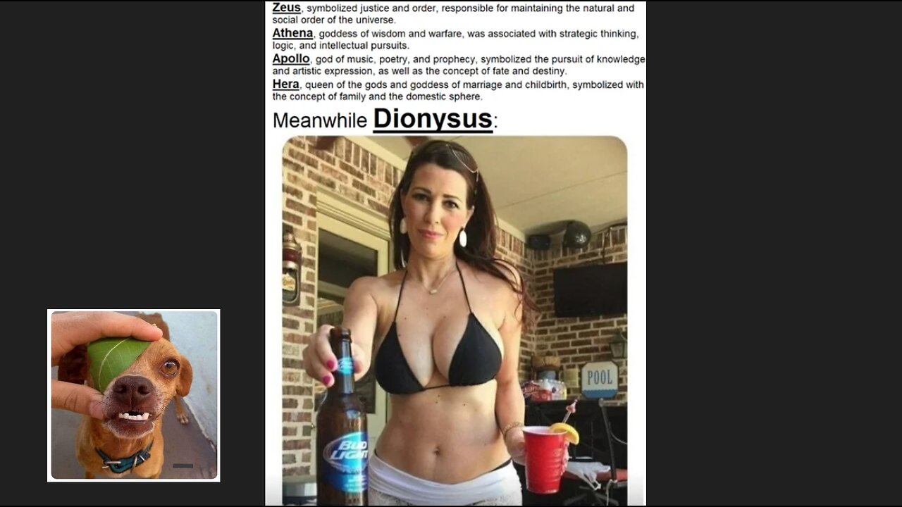 Memes That Will 99.0161% Make You Laugh. (e385)