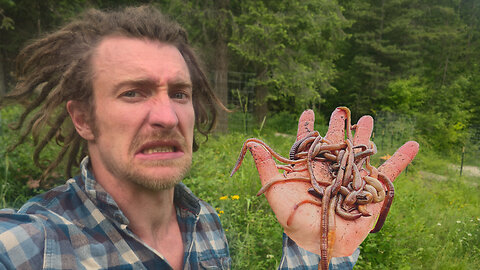 I've Got Worms! Why You Should Get a Worm Farm Too!
