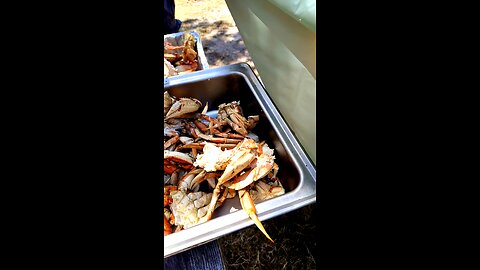 Who loves Crab!!