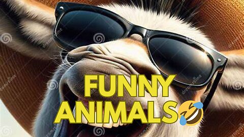 😂 Can’t Stop Laughing! These Animals Are Comedy Geniuses! 🐶🐱